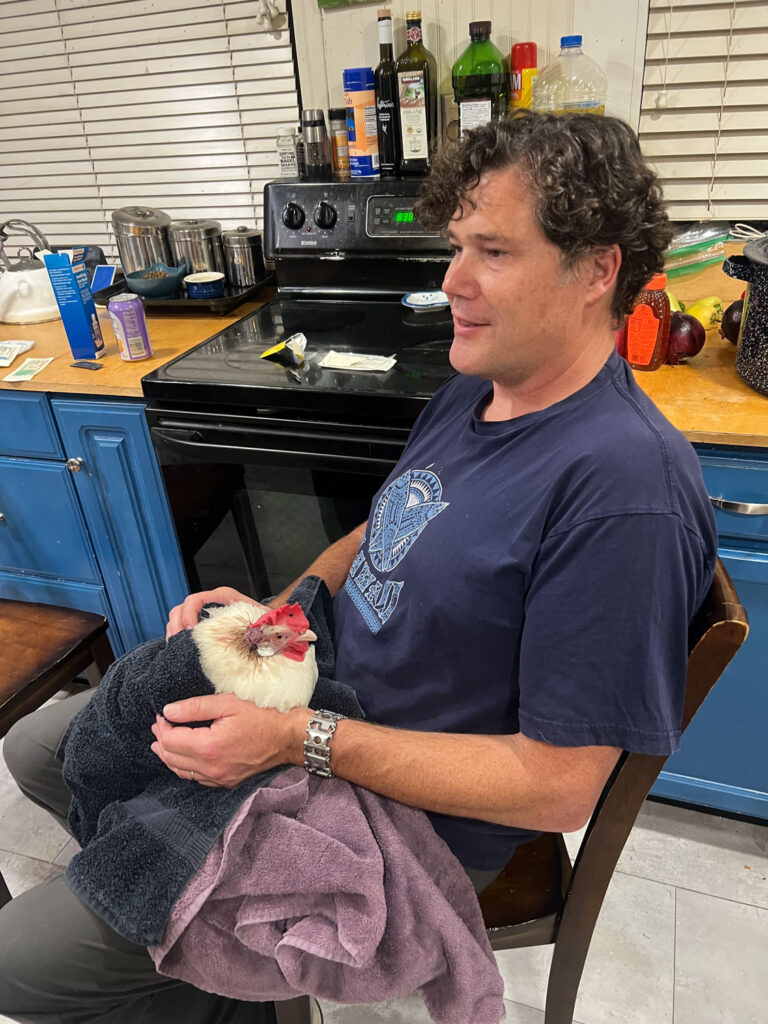 There was a chicken incident where Dottie needed stitches, but my friend's wife who is a nurse stitched her up and she is completely fine now!
